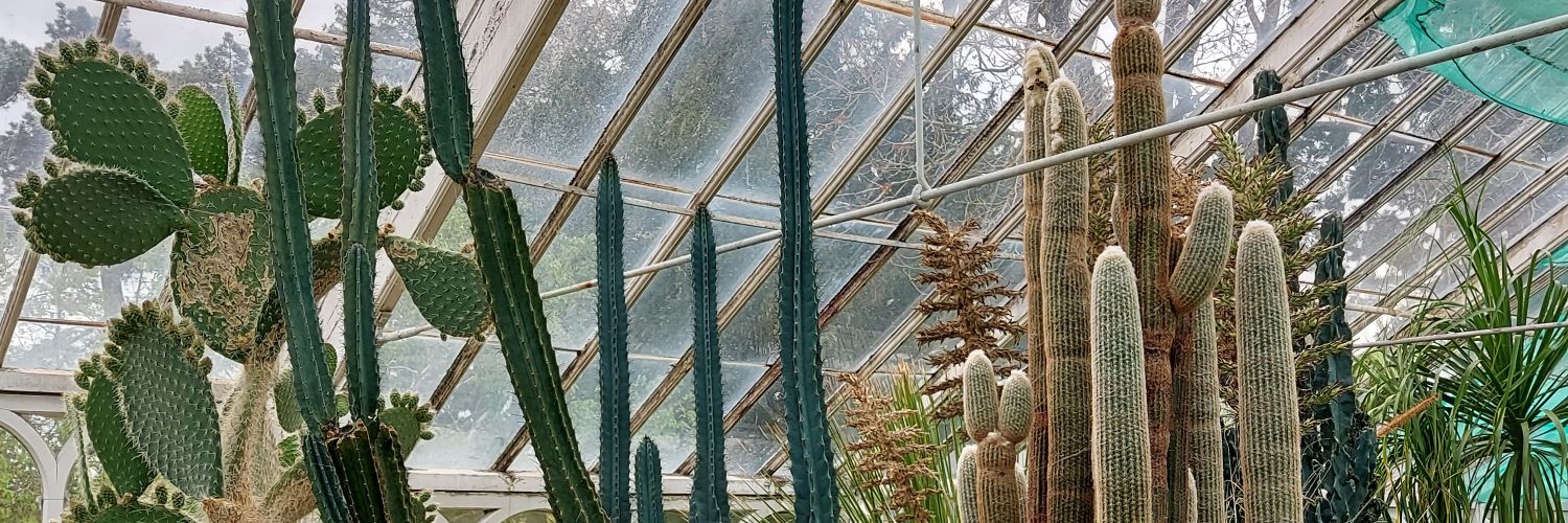 junepaski's profile banner image