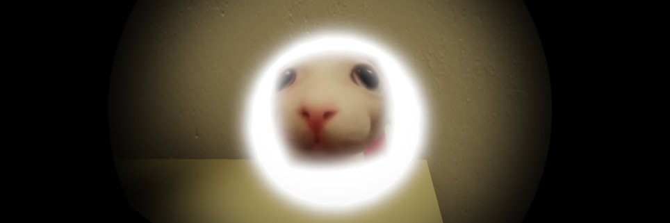 maydol00's profile banner image