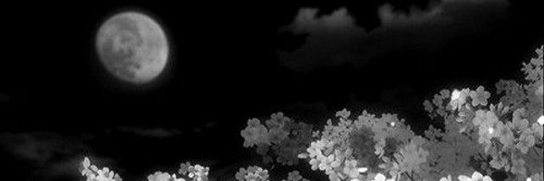 IAG18_ Profile Banner