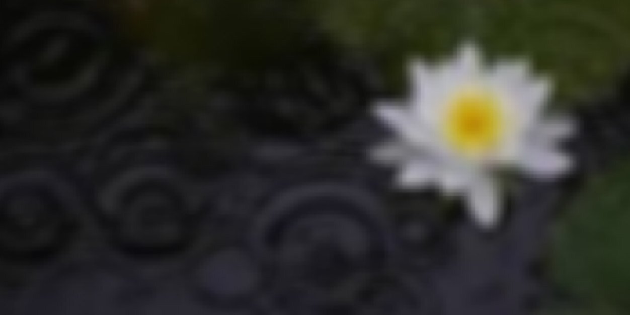 FF______x's profile banner image