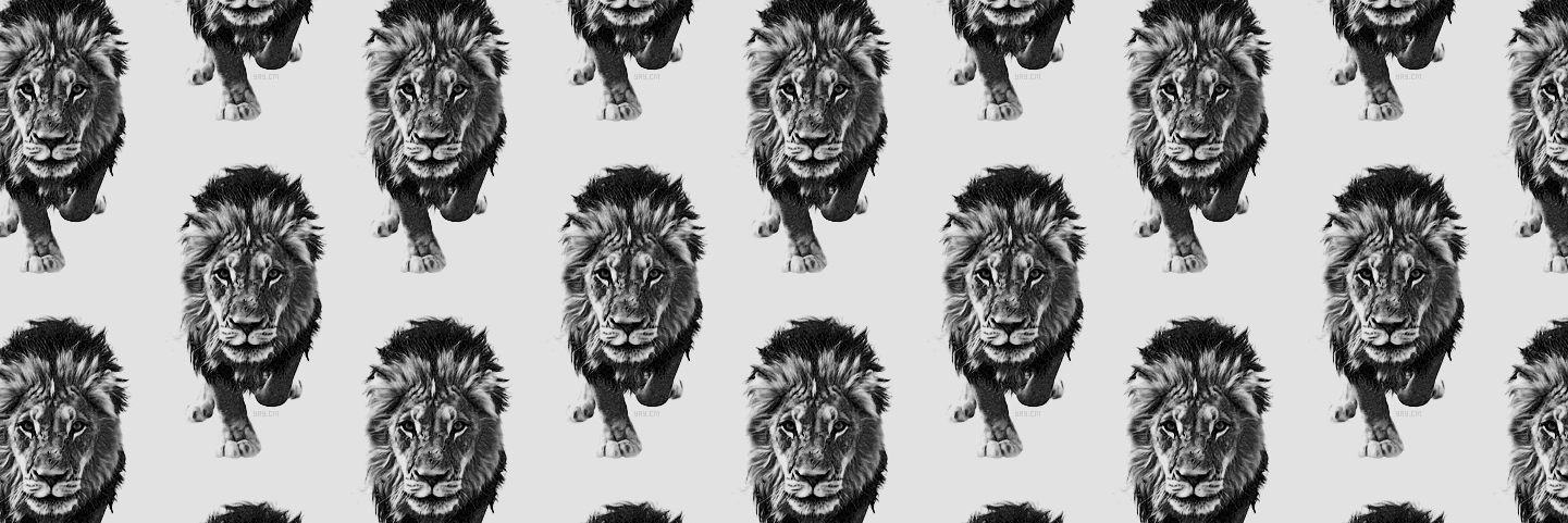 dareit_eth's profile banner image