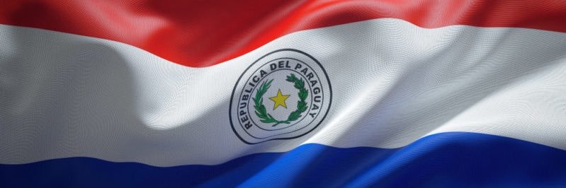 Manuel Callizo Pecci banner