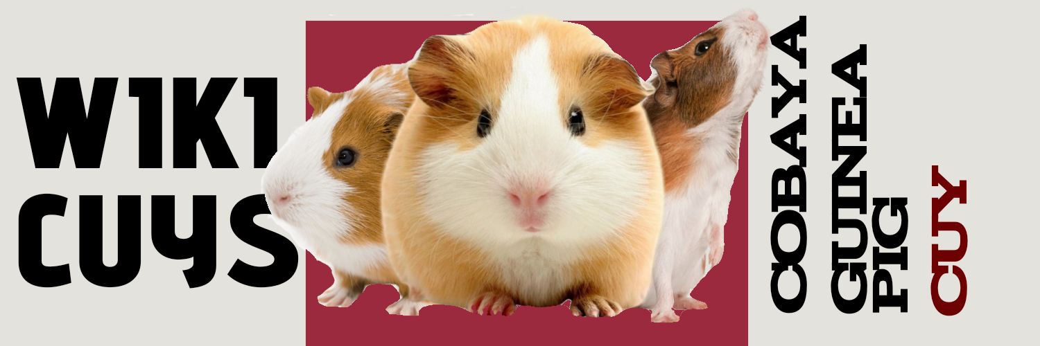 wiki cuys banner