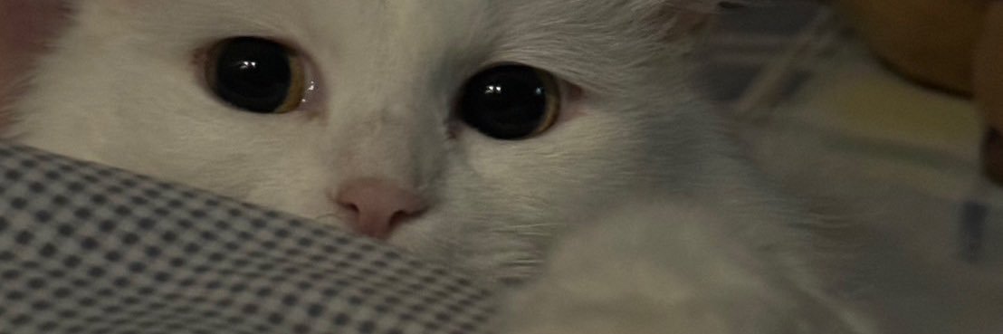 ออ นอ🌈🫧 banner