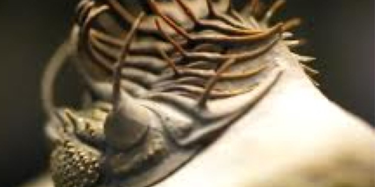 Sisyphus 🌑🦖 banner