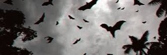 Haywire🦇🔊's banner
