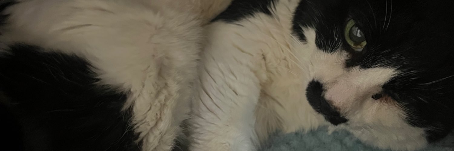 siosabitetuo's profile banner image