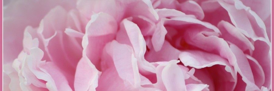 PayOutSarah's profile banner image