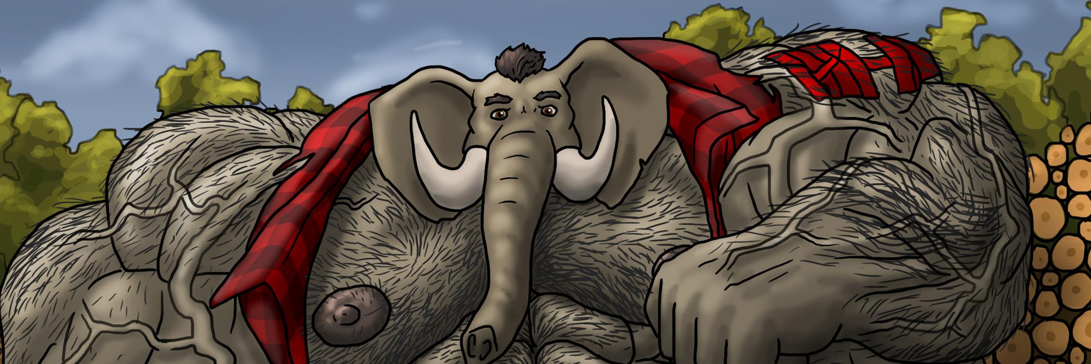 Shlar Branshe banner