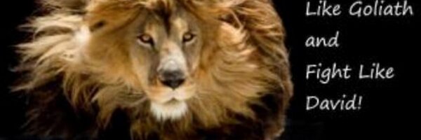 thonlyonee Profile Banner