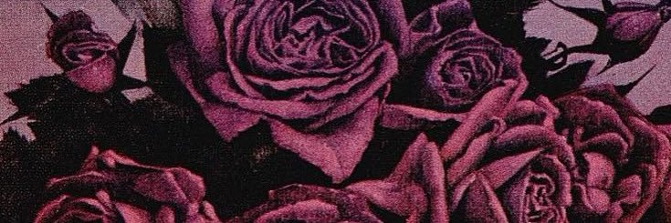 gªb¡ ⏾ banner