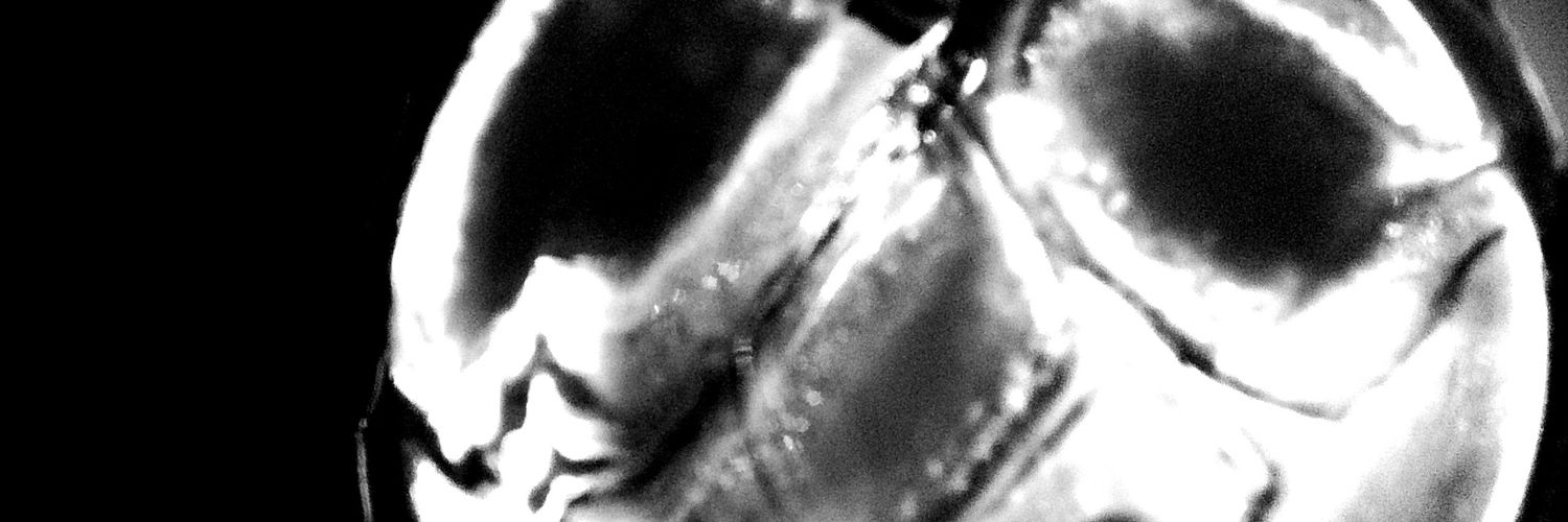 dayroomstudio's profile banner image