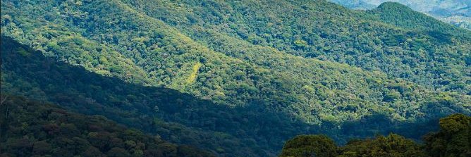 N_z_a_s_h_i_m_a banner