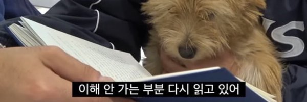 sunny_poo Profile Banner