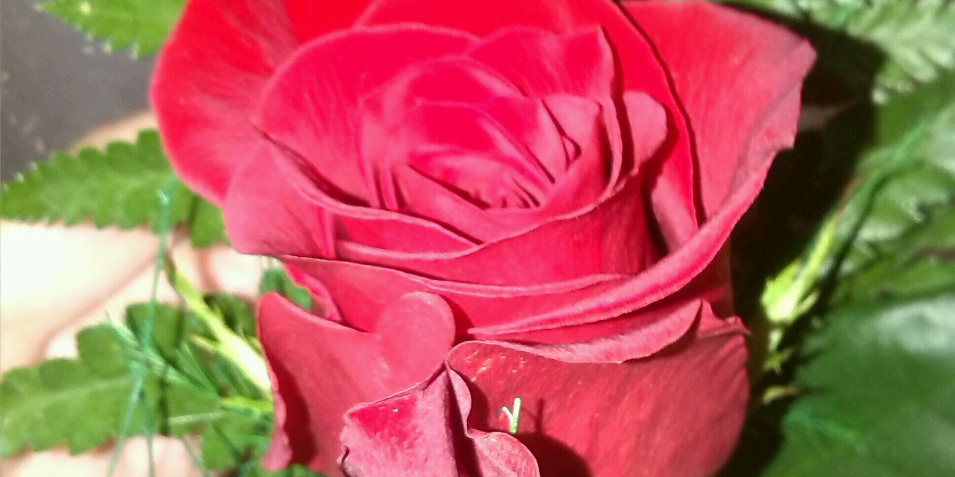 laurags24's profile banner image