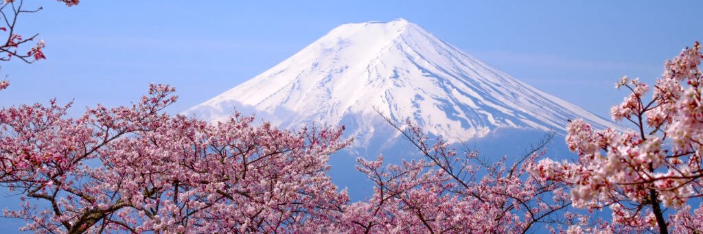 Experiment 626 banner