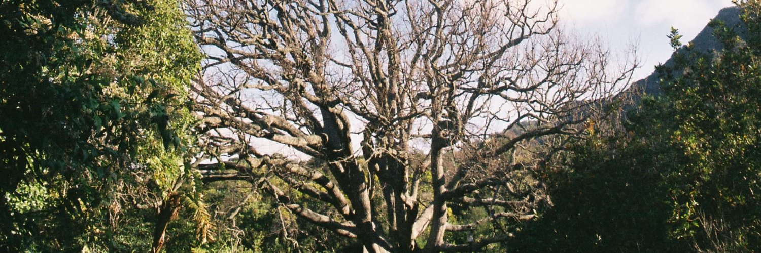 sapienself's profile banner image