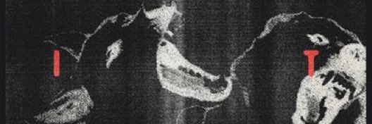 lottiepillled's profile banner image