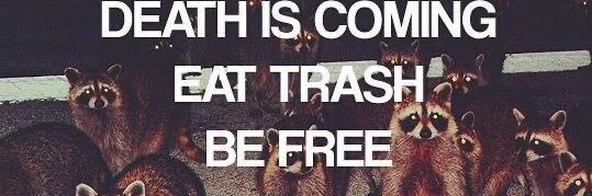 Nathan 💣 banner