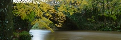 doloresobrien's profile banner image
