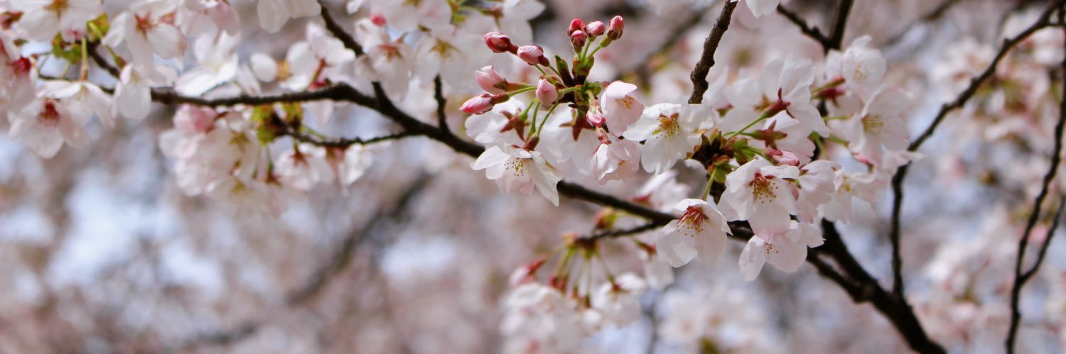 えこ banner