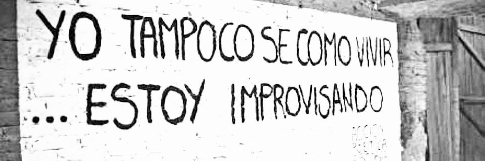 Anali banner