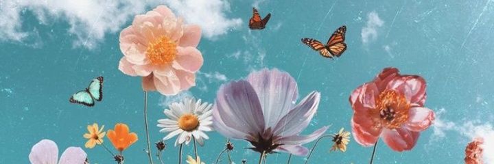 Camicp's profile banner image