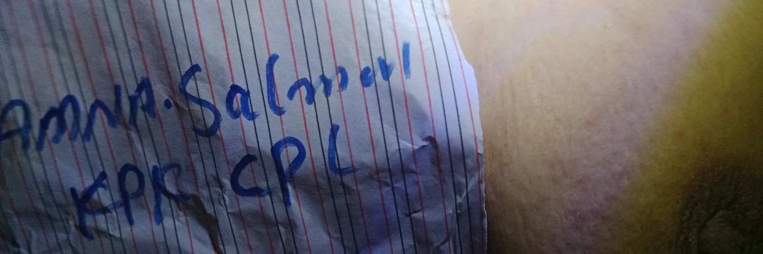 amnasalmn's profile banner image