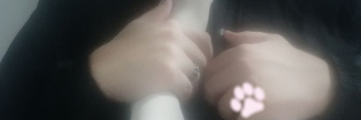mintcocomatcha's profile banner image