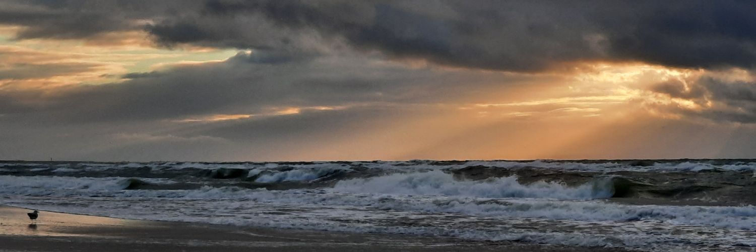 SteffenKoeniger's profile banner image