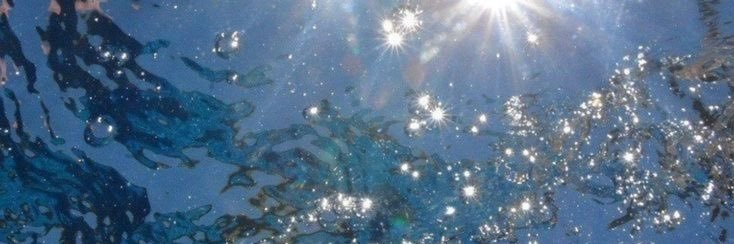 sea chewster's banner