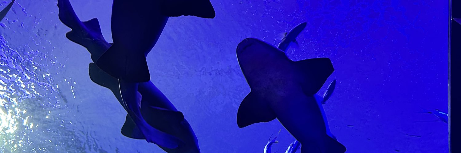 babynix_'s profile banner image