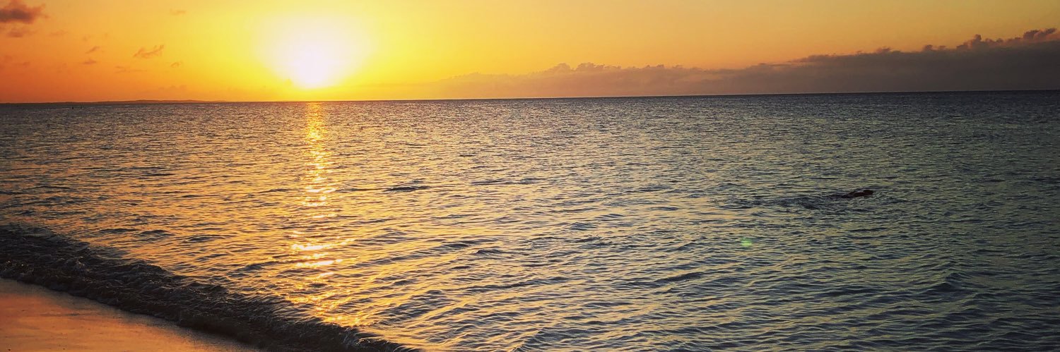 MSolGP's profile banner image