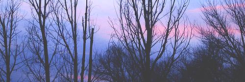 XTLXNTXCAL's profile banner image