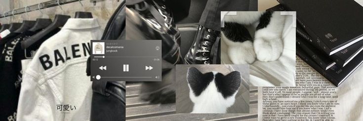 vie's banner