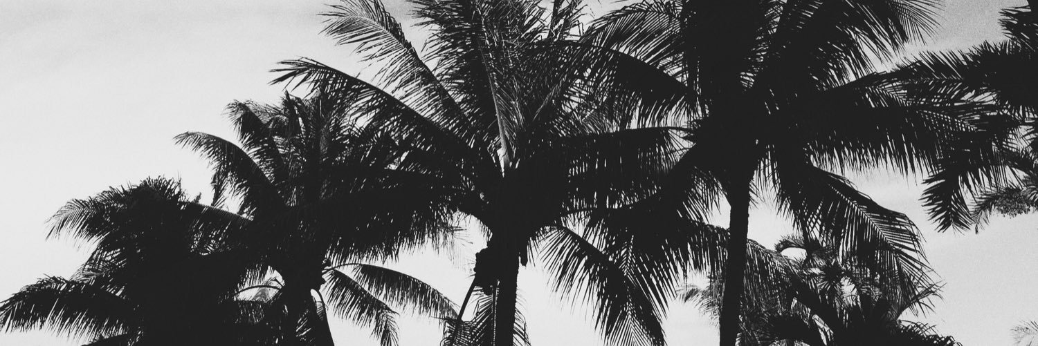 Gonza banner