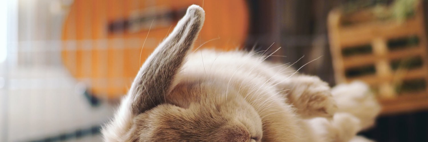 ふぇん banner