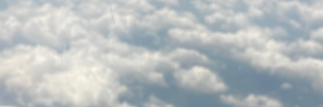 リン banner