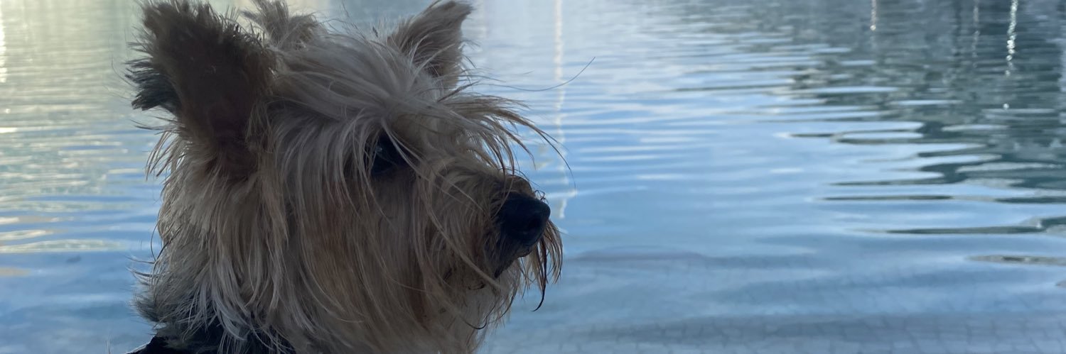 kerlinjvr's profile banner image