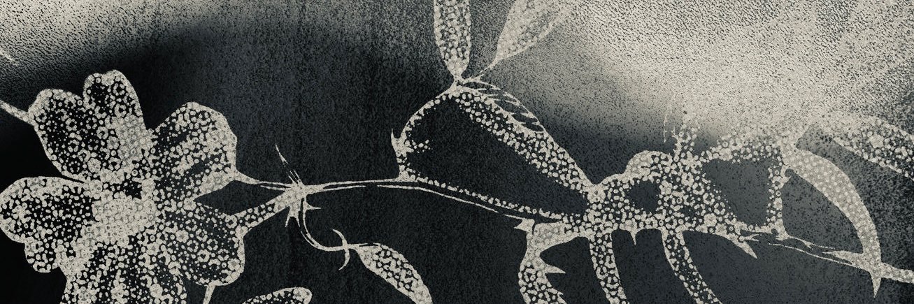 tinyache's profile banner image