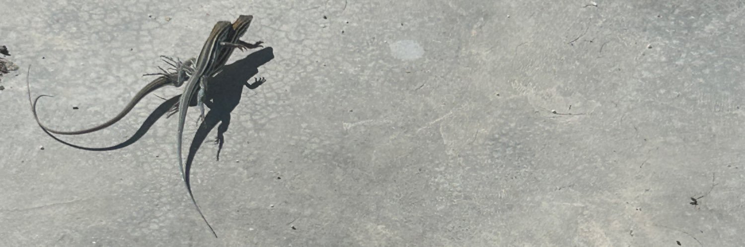 Sargent Goose banner