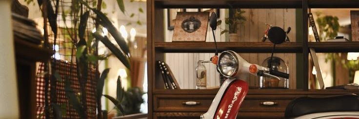 Shena banner