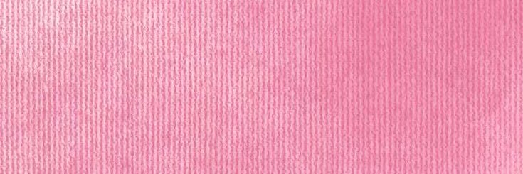 salsa banner