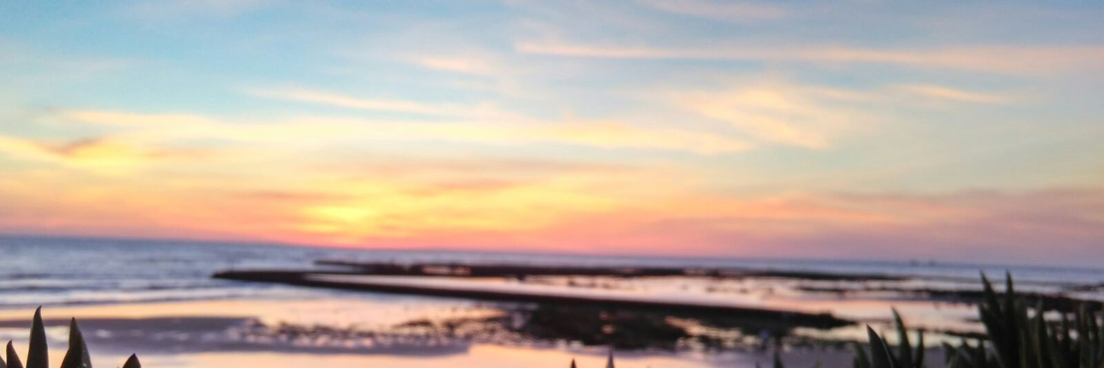 yavik14's profile banner image