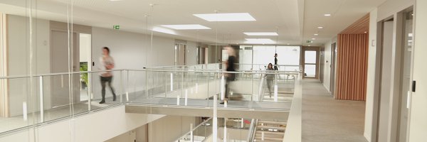 Sofis_Formation Profile Banner