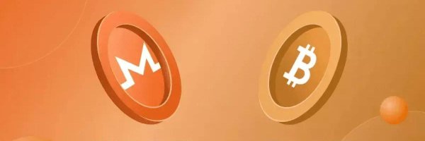 tanzibooo Profile Banner