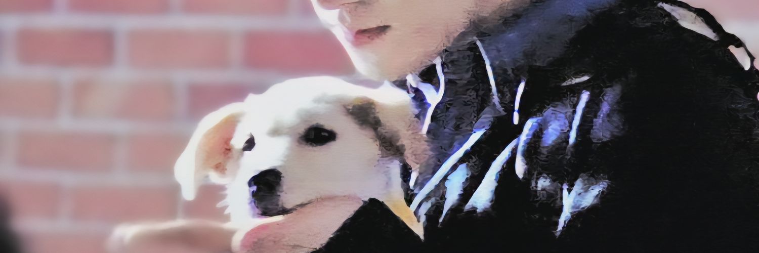 비계용비계 banner