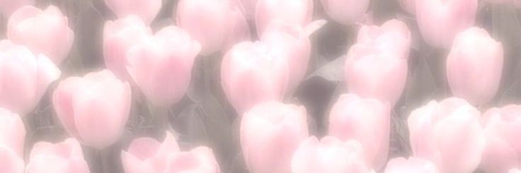 itsmenanon's profile banner image