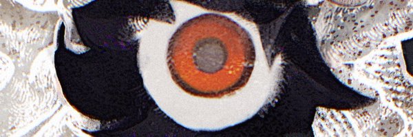 meowmope Profile Banner