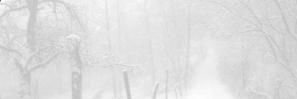 gothicfinii Profile Banner